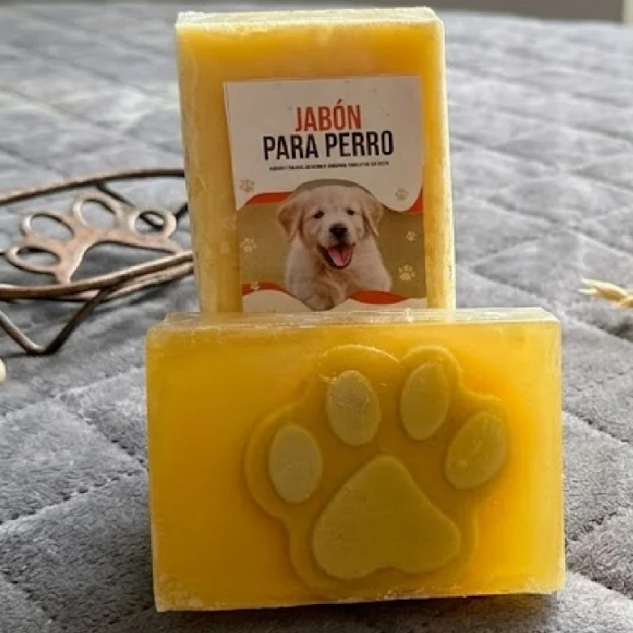 Proyecto nuevo (11)